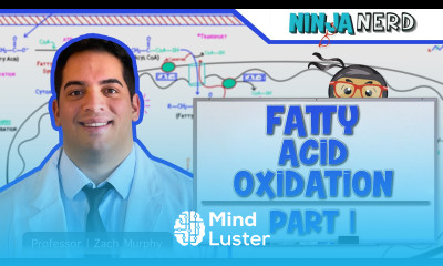 Metabolism Fatty Acid Oxidation Part 1