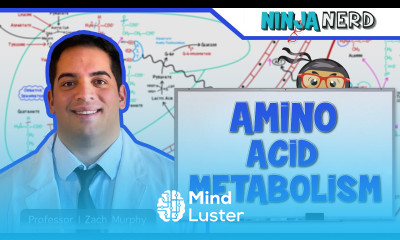 Metabolism Amino Acid Metabolism
