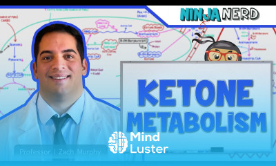 Metabolism Ketone Metabolism
