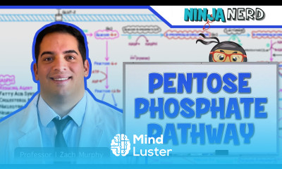 Metabolism Pentose Phosphate Pathway
