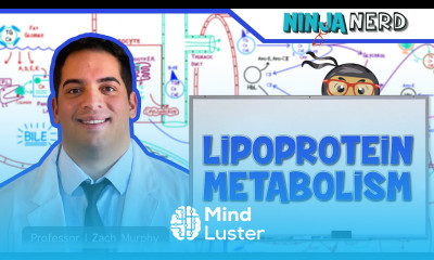 Metabolism Lipoprotein Metabolism Chylomicrons VLDL IDL LDL HDL