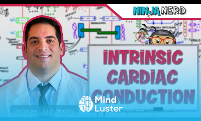 Cardiovascular Electrophysiology Intrinsic Cardiac Conduction System
