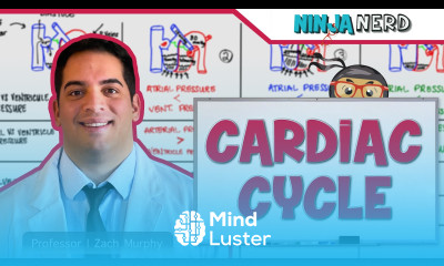 Cardiovascular Cardiac Cycle