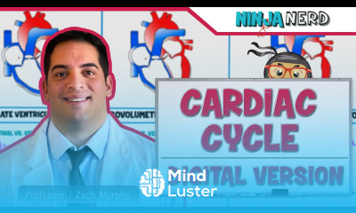 Cardiovascular Cardiac Cycle Digital Version