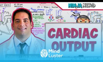 Cardiovascular Cardiac Output