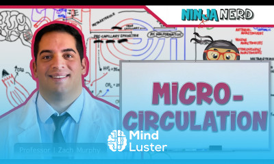 Cardiovascular Microcirculation