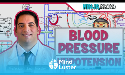 Cardiovascular Blood Pressure Regulation Hypotension