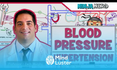 Cardiovascular Blood Pressure Regulation Hypertension
