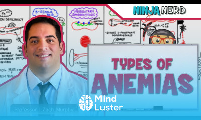 Hematology Types of Anemias