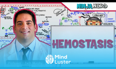 Hematology Hemostasis Coagulation Cascade