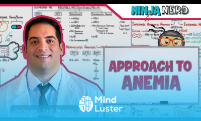 CBC Approach to Anemia