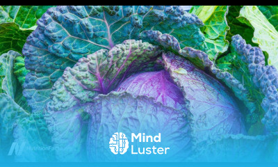 Benefits of Cabbage Leaves on the Knee for Osteoarthritis