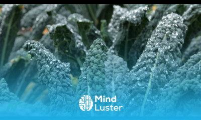 The Benefits of Kale and Cabbage for Cholesterol