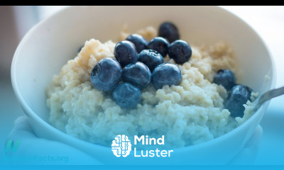 Can Oatmeal Help Fatty Liver Disease