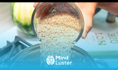 Which Is a Better Breakfast Cereal or Oatmeal