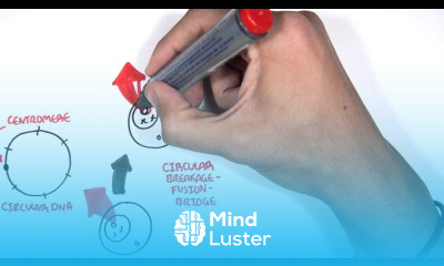 Neochromosomes in Cancers