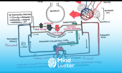 Pulmonary Vascular Physiology Pressure and Hypertension