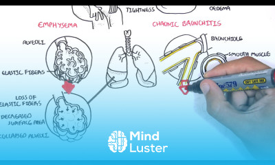 Chronic Obstructive Pulmonary Disease Overview types pathology treatment