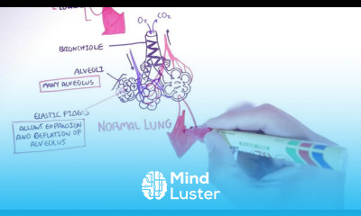 Emphysema Introduction Types Symptoms Diagnosis