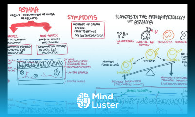 Asthma signs and symptoms pathophysiology