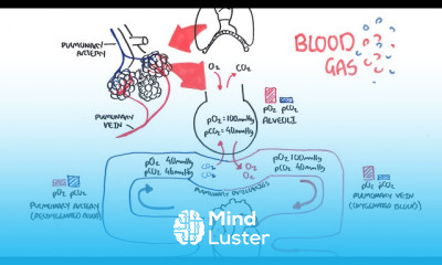 Blood Gases O2 CO2 and ABG