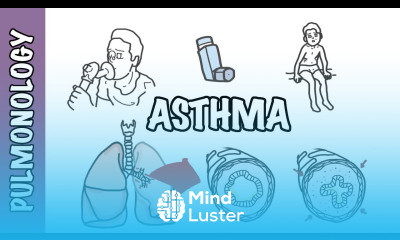 Understanding Asthma pathophysiology and treatment