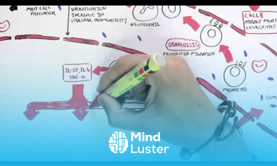 Immunology Map IV Innate Immune response II