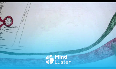 Immunology Map V Cell Mediated Immunity