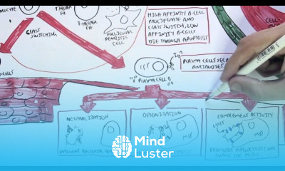 Immunology Map VI Humoral Immunity