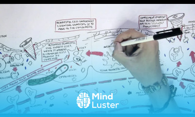Immunology Map VII Adaptive Acquired Immunity