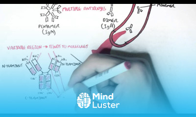 Immunology Introduction to Antibodies