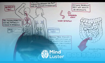 Mucosal Immunity Overview