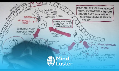 Part I Mucosal Immunity