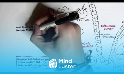 Part II Mucosal Immunity