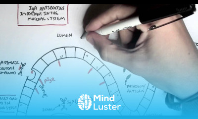 Part III Mucosal Immunity IgA antibodies