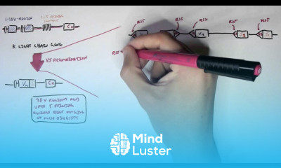 Immunology Antibody Somatic VDJ Recombination II