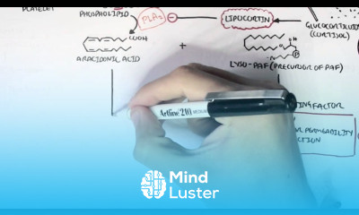 Part I Aracidonic Acid Metabolites
