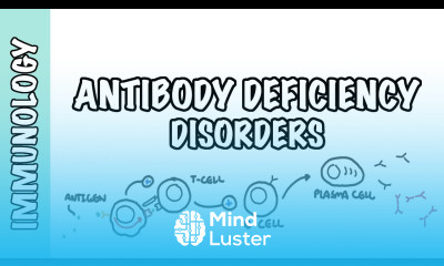 Primary antibody deficiency Common Variable Immunodeficiency CVID X linked agammaglobulinemia