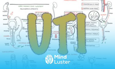 Urinary Tract Infection Overview signs and symptoms pathophysiology causes and treatment