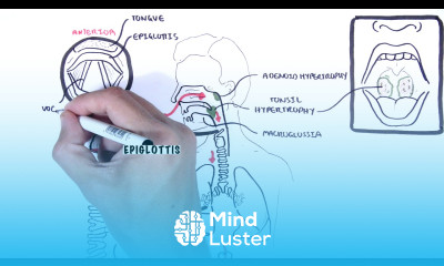 Stridor in children causes inspiratory and expiratory stridor pathophysiology