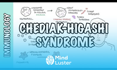 Chediak Higashi Syndrome