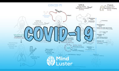 COVID 19 a visual summary of the new coronavirus pandemic