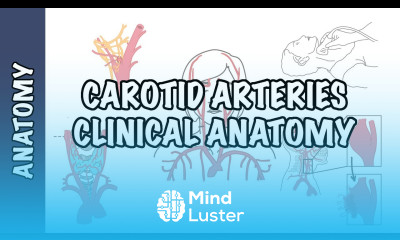 Anatomy Carotid Artery Carotid artery disease aneurysm dissection amourosis fugax
