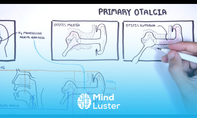 Understanding Ear Pain Otalgia Innervation of ear mechanism of ear pain and causes