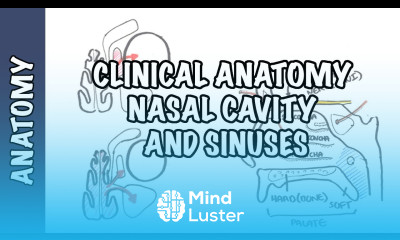Clinical Anatomy Nasal Cavity and Sinuses