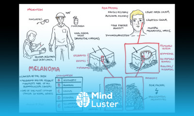Melanoma Overview signs and symptoms pathology risk factors treatment