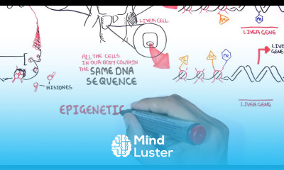 Epigenetics An Introduction