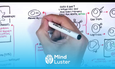 Haemotology Blood fractionation WBC Platlets and Clotting Factors