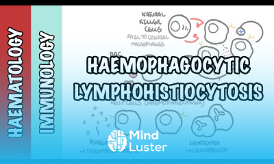 HLH I Hemophagocytic Lymphohistiocytosis cause pathophysiology investigation and treatment