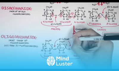 Biochemistry of Carbohydrates